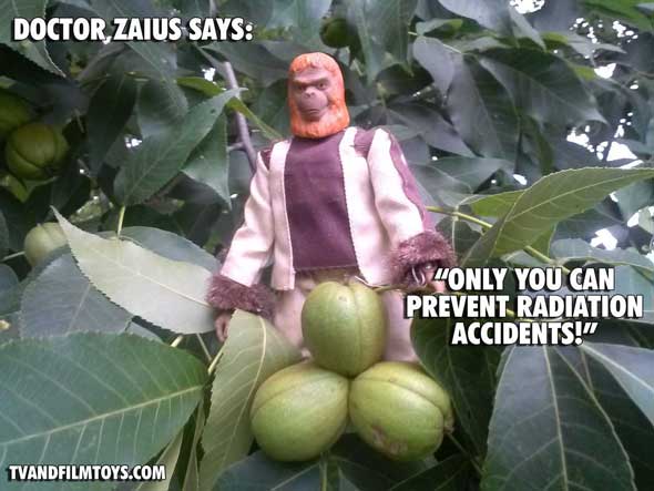 zaius_radiation_590_2