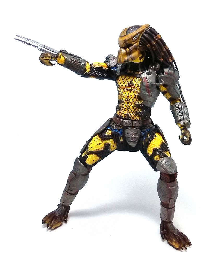 Wasp Predator (12)