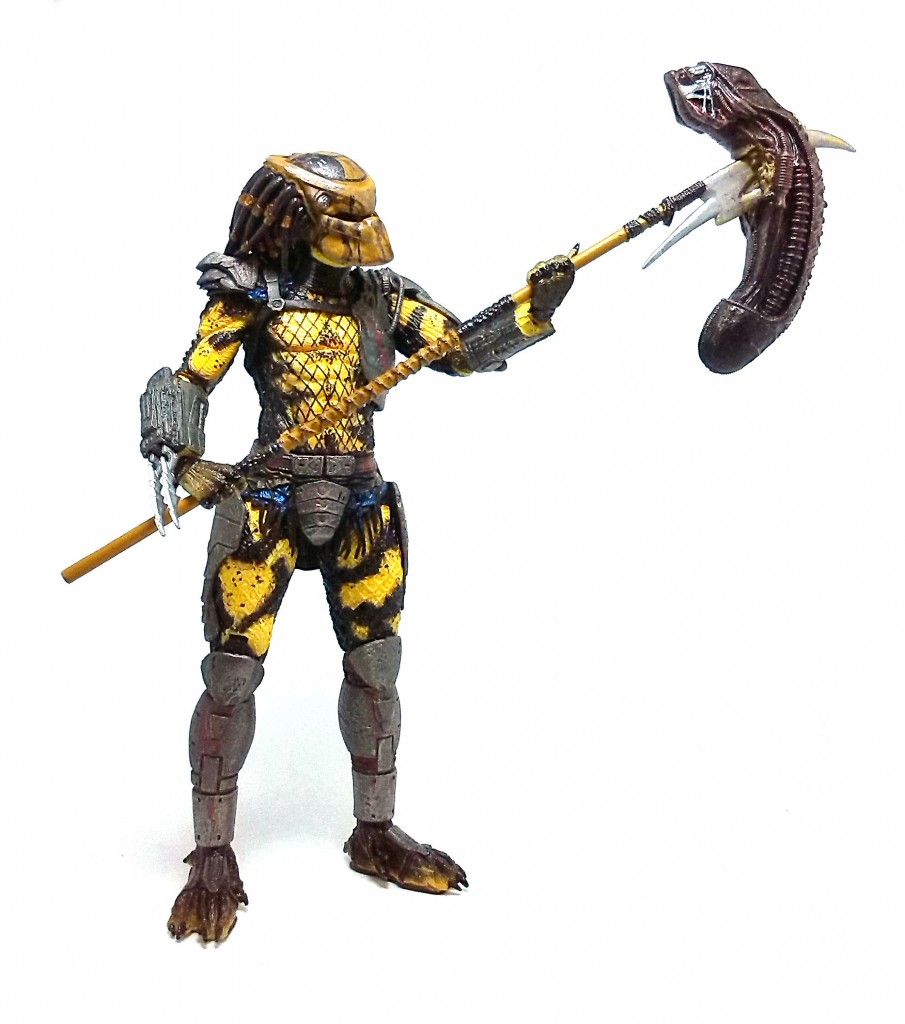 Wasp Predator (4)